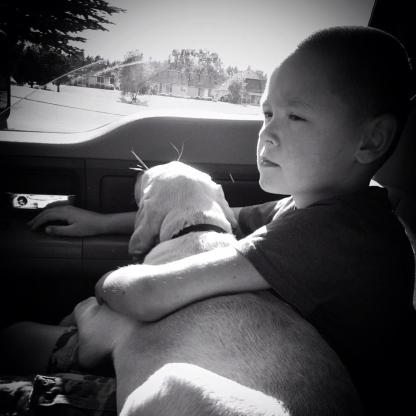 10462622_10100160405622923_7896257667162214391_n