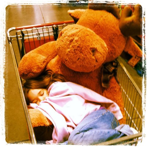 420227_729336342243_800134478_n