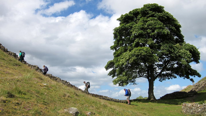 10922746_10152988574323794_5895065815460547911_n