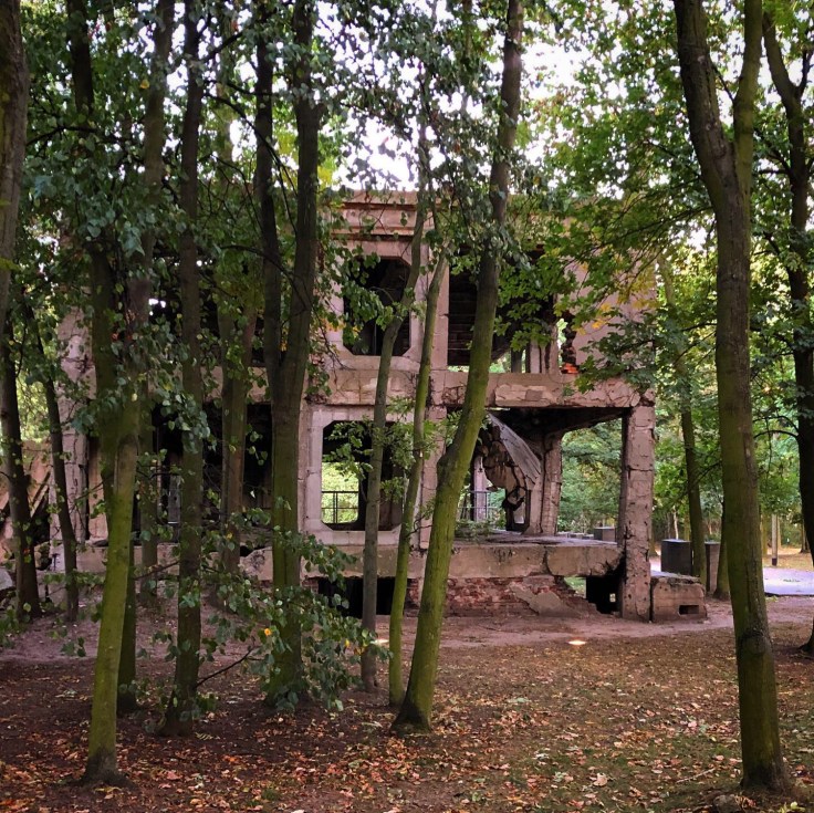 274536CF-FAE9-4EF7-8CED-57CED99F4C63